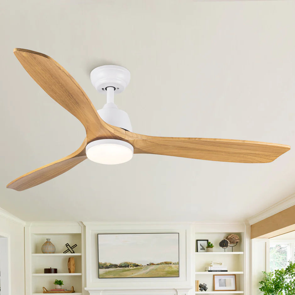 Ceiling Fans