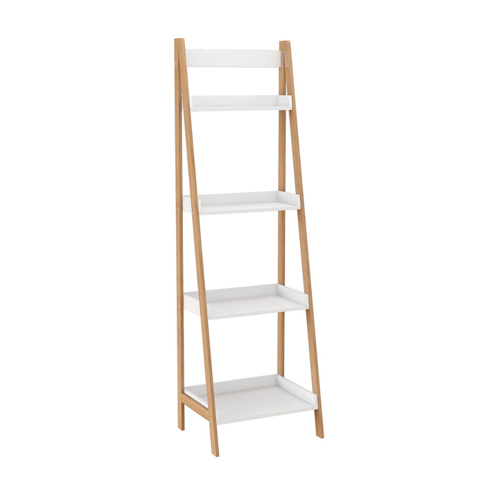 4-Tier Bookshelf Ladder