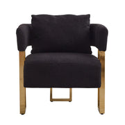 TS Modern Decorative Chair, Side Chair with Gold Metal Legs, Teddy Fleece Upholstered, Black, 2PCS Set Glass House Furnishings