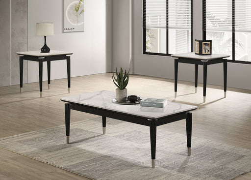 Candice End Sintered Coffee Table | Glass House Furnishings