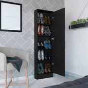 Leto Black Wenge Mirrored Shoe Storage Cabinet Glass House Furnishings