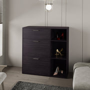 Showie Three-Door Shoe Cabinet with Drawer and Side Shelves Glass House Furnishings