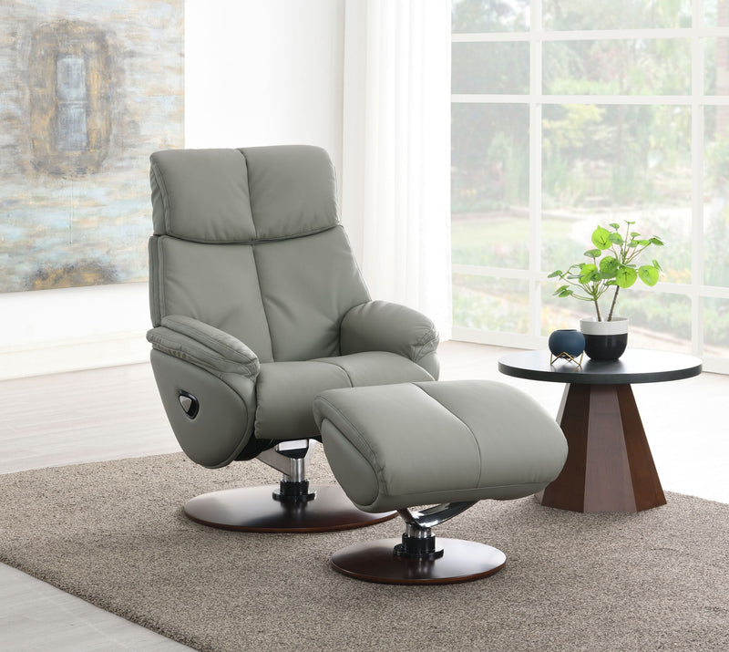 Kandoro Gray Top Grain Leather Accent Chair with Swivel & Ottoman Glass House Furnishings