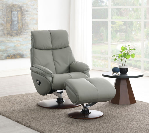 Kandoro Gray Top Grain Leather Accent Chair with Swivel & Ottoman Glass House Furnishings