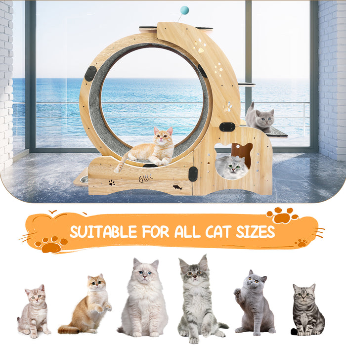 Upgraded 4-in-1 Cat Exercise Wheel, Silent, Large Treadmill, Running & Walking Wheel - Indoor Cat Exerciser, Furniture Cat Toys