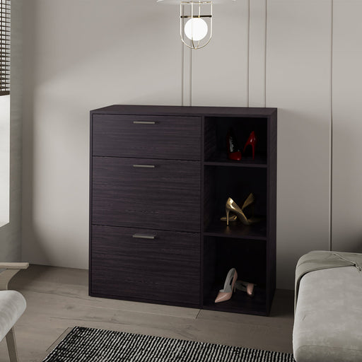 Whitaker Black Shoe Storage Cabinet | Glass House Furnishings