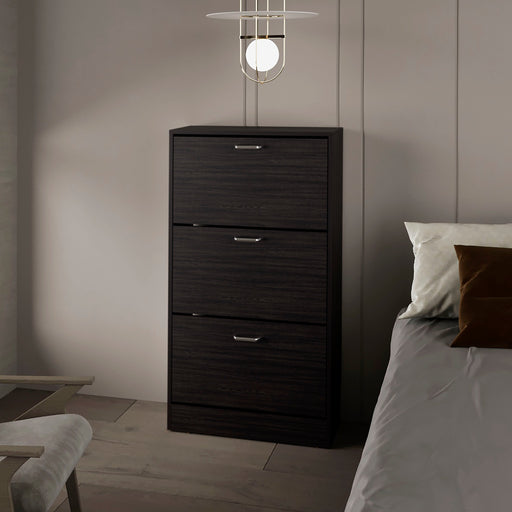 Soren Wenge Three-Compartment Flip-Down Shoe Cabinet | Glass House Furnishings